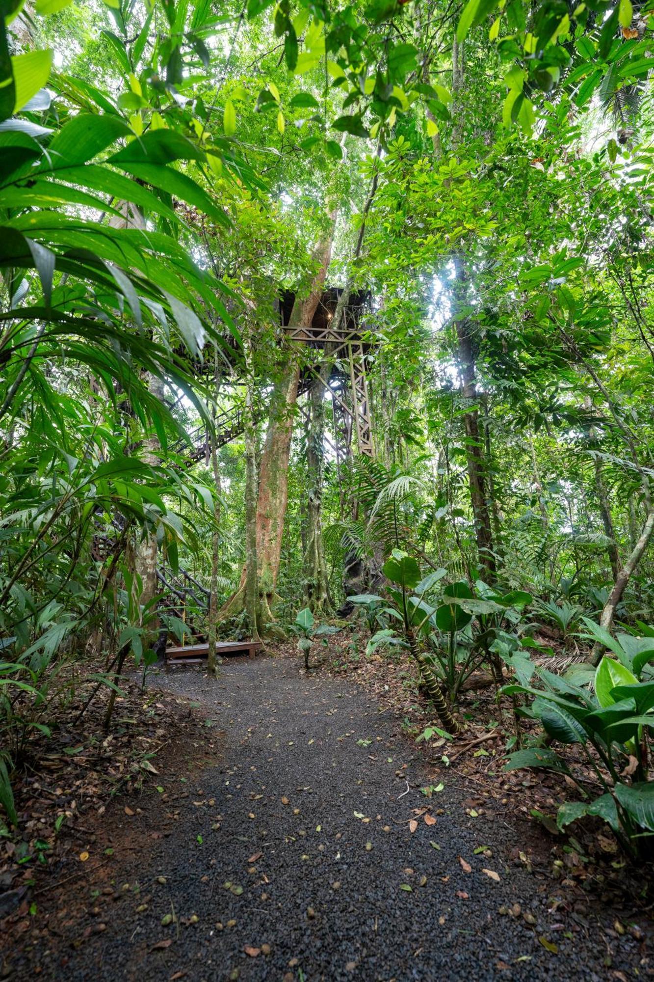 Maquenque Ecolodge Boca Tapada Экстерьер фото